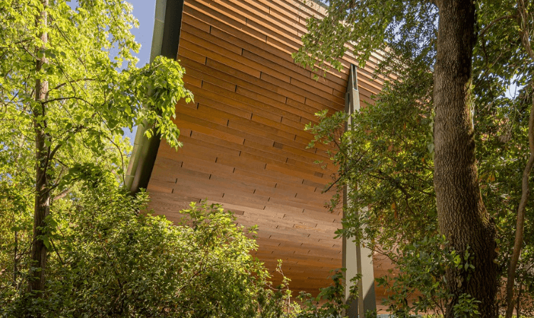 Innovación Arquitectónica y Conexión con la Naturaleza El rediseño arquitectónico del CAM se distingue por un dosel curvo de 100 metros, adornado con azulejos cerámicos portugueses, realizado por Kengo Kuma Associates. Inspirado en el Engawa japonés, este diseño busca una conexión más profunda entre el edificio, los jardines y la ciudad, alineándose con la visión de Kuma de una "arquitectura suave y humana".