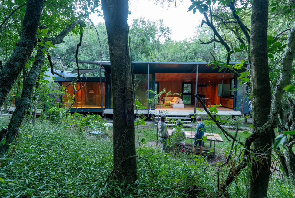 Casa en el bosque: Arquitectura que Abraza el Paisaje
