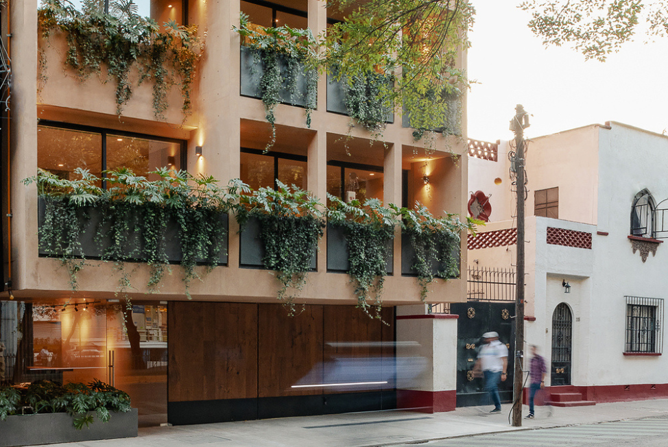 Fachada viva / Edificio Nuevo León 207