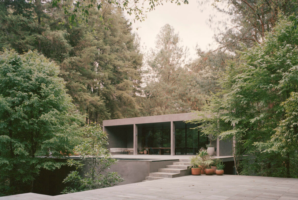 CASA COPAS: ARQUITECTURA QUE ABRAZA EL BOSQUE
